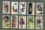 Collectible cigarette cards set Zoo Studies,Polar Bears,Elephants,, Lion,Flamingo