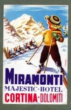 Collectible Hotel luggage label ITALY RARE Miramonti Dolomiti Ski #332