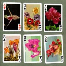 Collectible Non-standard playing cards Flowers & plants