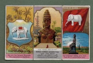 Collectible SIAM cigarette cards  old flag White Elephant RARE #365