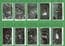Collectible Tobacco Cigarette cards set Wild Birds at Home 1935