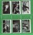 Collectible Tobacco Cigarette cards set Wild Birds at Home 1935