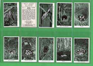 Collectible Tobacco Cigarette cards set Wild Birds at Home 1935