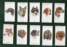 Contactable Cigarette cards Dogs Heads 1929 by Wardle ,Beagle, Mastiff,