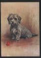 Dogs - Dandie Dinmont Terrier
