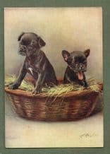 French Bulldog tobacco cigarette card postcard dogs 1930's #011