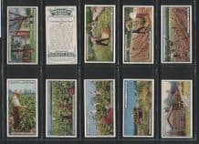 From Plantation to Smoker cigarette cards set 1926