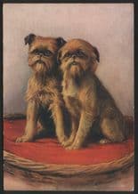 Griffon Bruxellois tobacco cigarette card postcard dogs 1930's #078