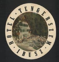 Hotel label luggage Hotel Tengerszem,  IBUSZ, Hungary.  #067