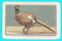 Narrow named playing card Pheasant by Barribal