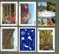 Playing cards - Canary Islands