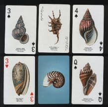 Playing cards Non-standard Aquatique, sea-shells
