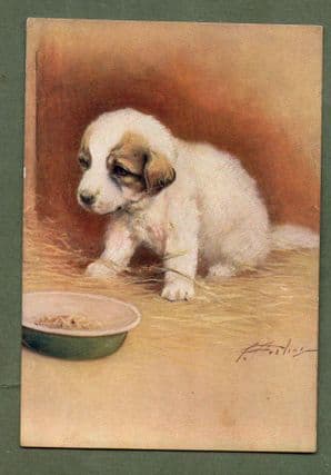 Pyrenean Mountain  tobacco cigarette card postcard dogs 1930's #045