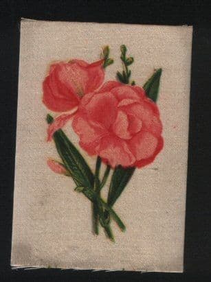 rare silk cigarette cards RARE old Silk cigarette card English flowers Olender 779