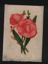 RARE old Silk cigarette card English flowers Olender #779