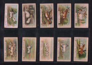 Rare Siam Tobacco cigarette cards set Thailand 1923  Dreams