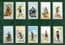 Siamese life Tobacco cigarette cards set  Siam Thailand circa 1930's