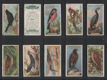 Tobacco cards cigarette cards 1923 British Birds set