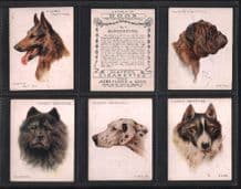Tobacco cards Cigarette cards Dogs Heads 1929 by Wardle