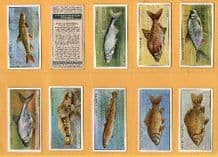 Tobacco cards Cigarette cards Fresh-water Fish 1933 set
