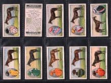 Tobacco cards Cigarette cards Prominent Racehorses 1933
