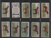 Tobacco cards cigarette cards Racehorses 1907 racing set