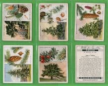 Tobacco cards cigarette cards Trees 1937 complete set