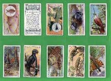 Tobacco cards cigarette cards Wonders of nature, 1924
