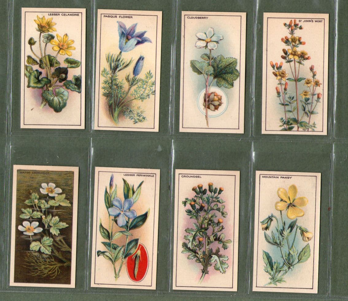 rare vintage cigarette cards Tobacco cards set cigarette cards 1928 Wayside flowers rare