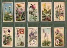 Tobacco cards set cigarette cards 1928 Wayside flowers rare