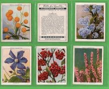 Tobacco cards set cigarette cards Flowering Shrubs 1934