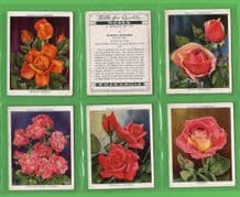 Tobacco cards set cigarette cards Roses 1936