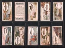 Tobacco cards set Cigarette cards set Angling 1930