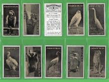 Tobacco Cigarette cards Animals in the zoo 1924 set