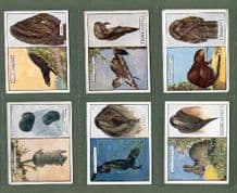 Tobacco cigarette cards Animals & their Furs 1929