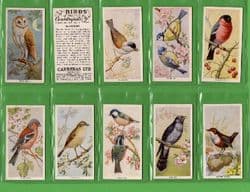 Tobacco cigarette cards Four Aces Birds 1924 playing card insert set