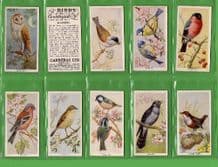 Tobacco cigarette cards Birds of the Countryside 1939