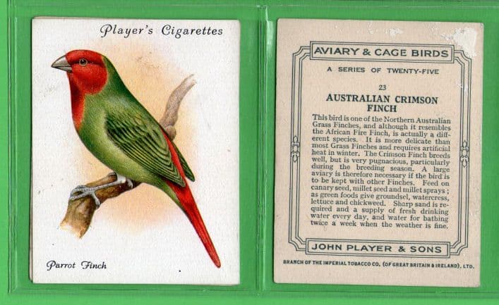 Tobacco Cigarette cards Birds Parrots Budgerigar set