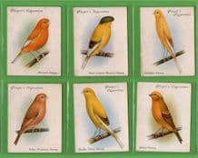 Tobacco Cigarette cards Birds, Parrots, Budgerigar, set