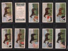 Tobacco cigarette cards Derby Entrants Horse Racing