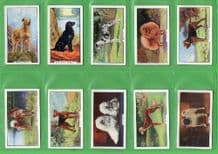 Tobacco Cigarette cards Dogs 1938 by Gallaher set