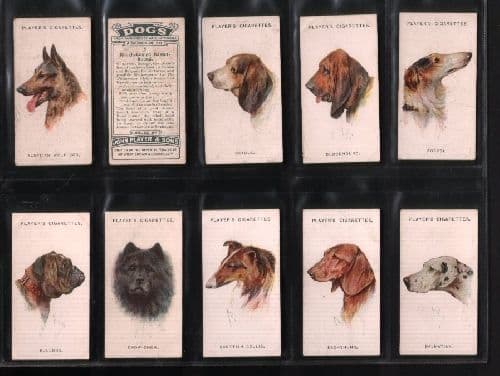 players cigarette cards dogs Tobacco Cigarette cards Dogs Heads 1929 by Wardle