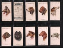 Tobacco Cigarette cards Dogs Heads 1929 by Wardle