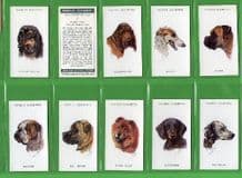 Tobacco cigarette cards Dogs Heads by artist Peter Siegel