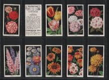 Tobacco cigarette cards Flowers 1936 beautiful set