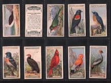 TOBACCO Cigarette CARDS Foreign Birds 1924 by Ogden's