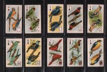 Tobacco cigarette cards Four Aces Birds 1924 playing card insert set
