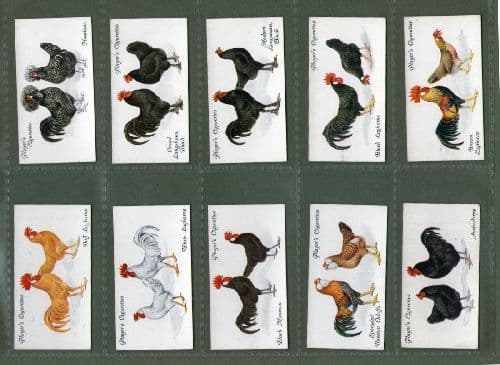 Tobacco cigarette cards Poultry Chickens rare breeds