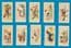 Tobacco cigarette cards set Dogs 1936