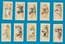 Tobacco cigarette cards set Dogs 1936